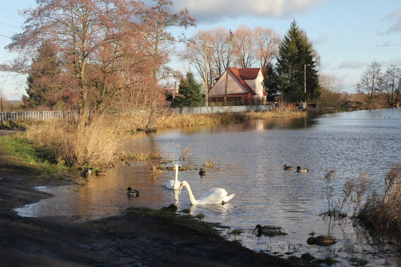 Utrzymuje się wysoki poziom wody [foto]