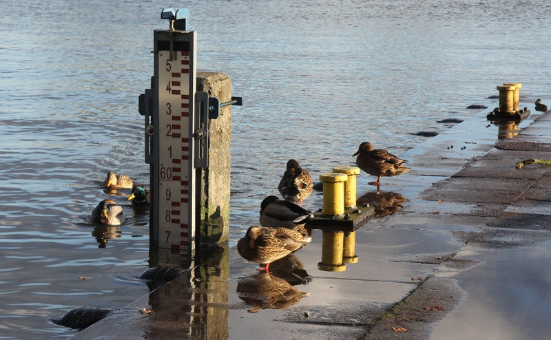 Utrzymuje się wysoki poziom wody [foto]