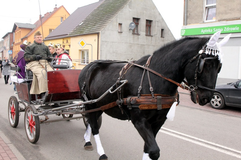 Orszak Trzech Króli w Policach-Jasienicy [foto/wideo]