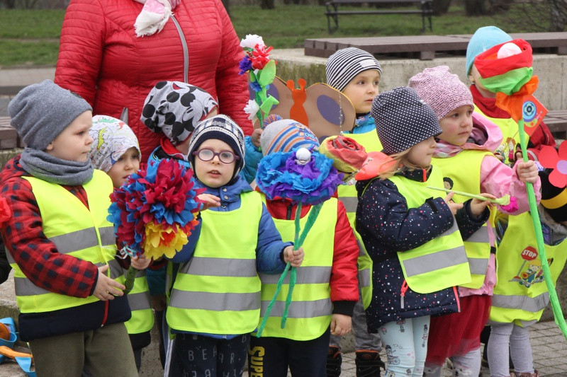 Kolorowe korowody przeszły ulicami Polic [foto/wideo]
