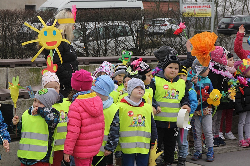 Kolorowe korowody przeszły ulicami Polic [foto/wideo]