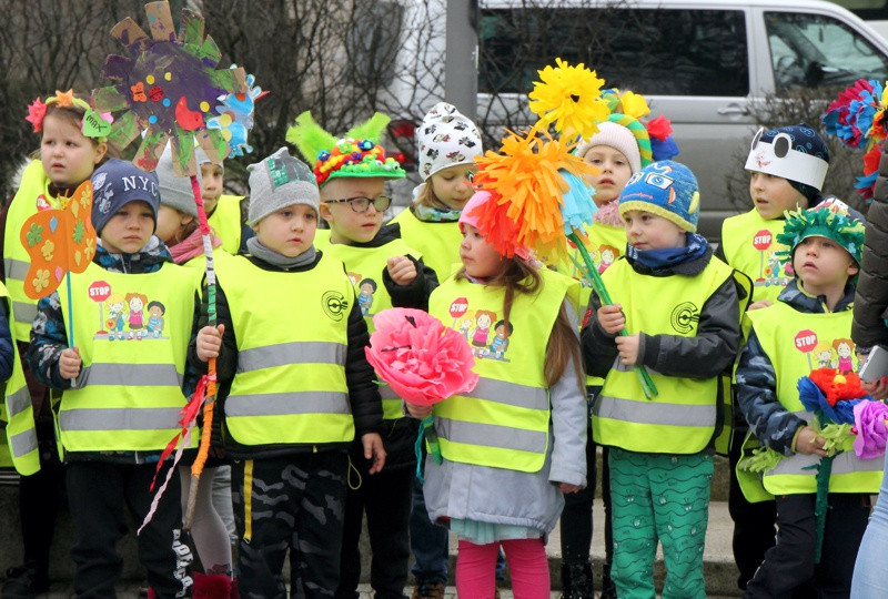 Kolorowe korowody przeszły ulicami Polic [foto/wideo]