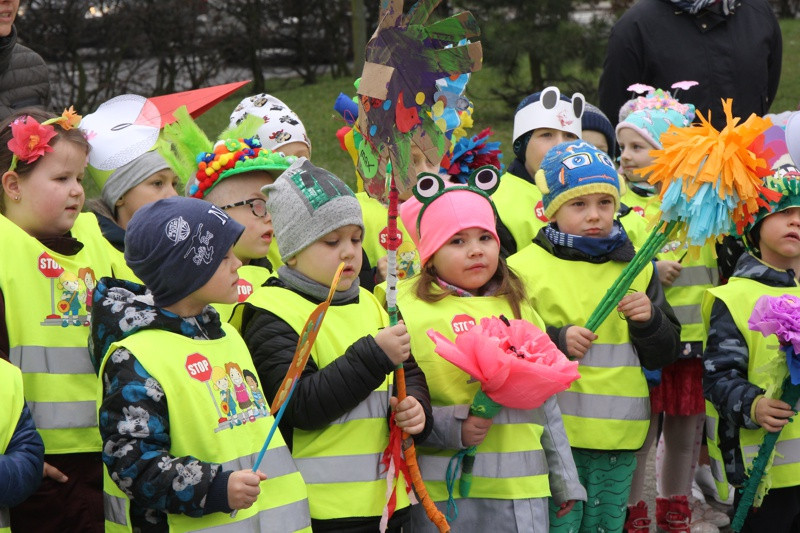 Kolorowe korowody przeszły ulicami Polic [foto/wideo]