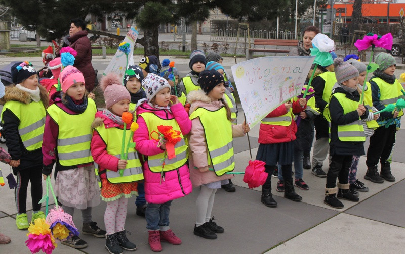 Kolorowe korowody przeszły ulicami Polic [foto/wideo]