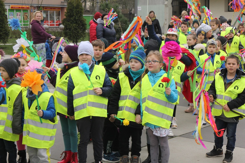 Kolorowe korowody przeszły ulicami Polic [foto/wideo]