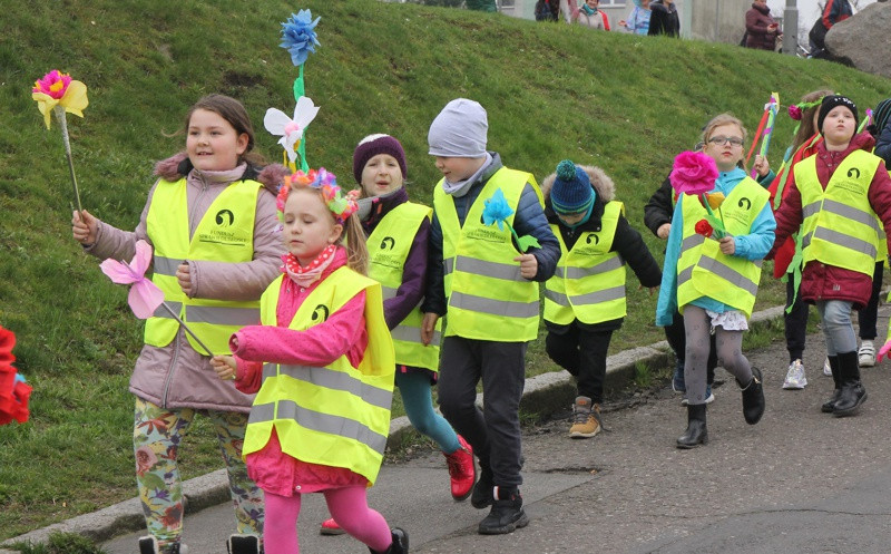 Kolorowe korowody przeszły ulicami Polic [foto/wideo]