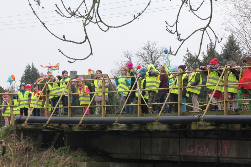 Kolorowe korowody przeszły ulicami Polic [foto/wideo]