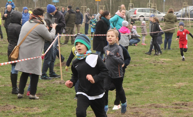 Mistrzostwa Polic i Mistrzostwa Województwa LDK! W Biegach Przełajowych [foto/wideo]