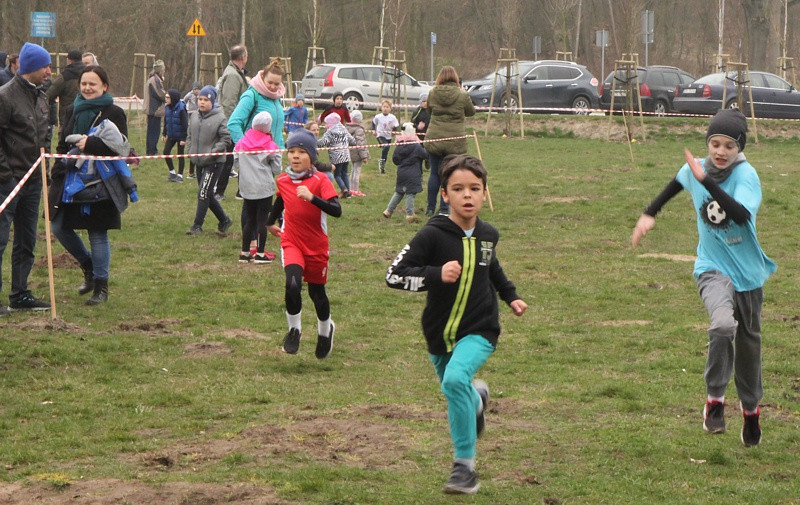 Mistrzostwa Polic i Mistrzostwa Województwa LDK! W Biegach Przełajowych [foto/wideo]