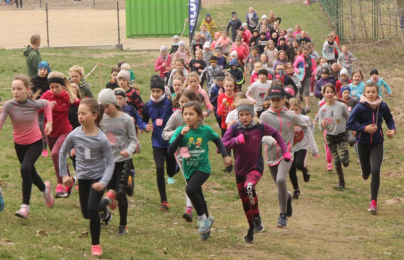 Mistrzostwa Polic i Mistrzostwa Województwa LDK! W Biegach Przełajowych [foto/wideo]