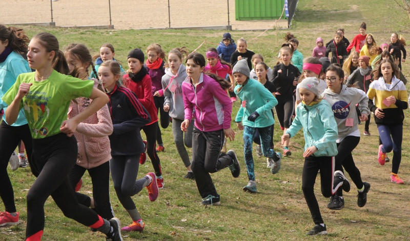 Mistrzostwa Polic i Mistrzostwa Województwa LDK! W Biegach Przełajowych [foto/wideo]