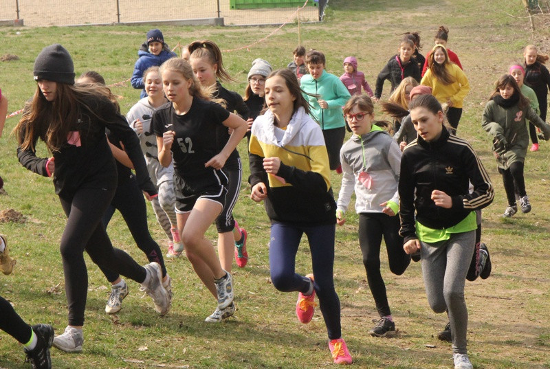 Mistrzostwa Polic i Mistrzostwa Województwa LDK! W Biegach Przełajowych [foto/wideo]