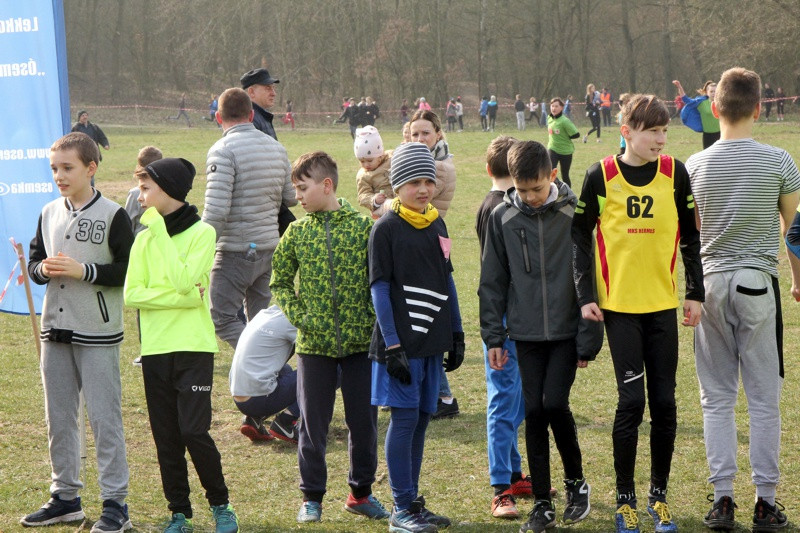 Mistrzostwa Polic i Mistrzostwa Województwa LDK! W Biegach Przełajowych [foto/wideo]