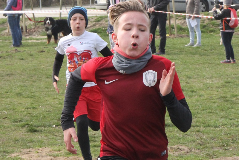 Mistrzostwa Polic i Mistrzostwa Województwa LDK! W Biegach Przełajowych [foto/wideo]