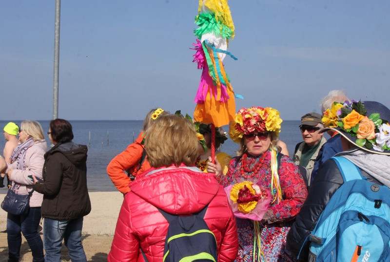 Powitanie wiosny i morsowanie w Trzebieży [foto/wideo]