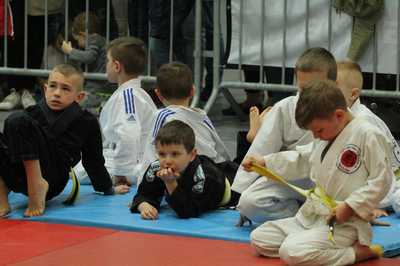 V Turniej SWANSON CUP w Brazylijskim Jiu Jitsu [foto]