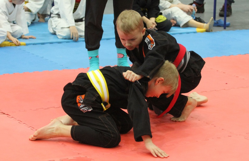 V Turniej SWANSON CUP w Brazylijskim Jiu Jitsu [foto]