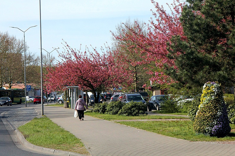 Wielka Sobota - święcenie pokarmów w polickich parafiach