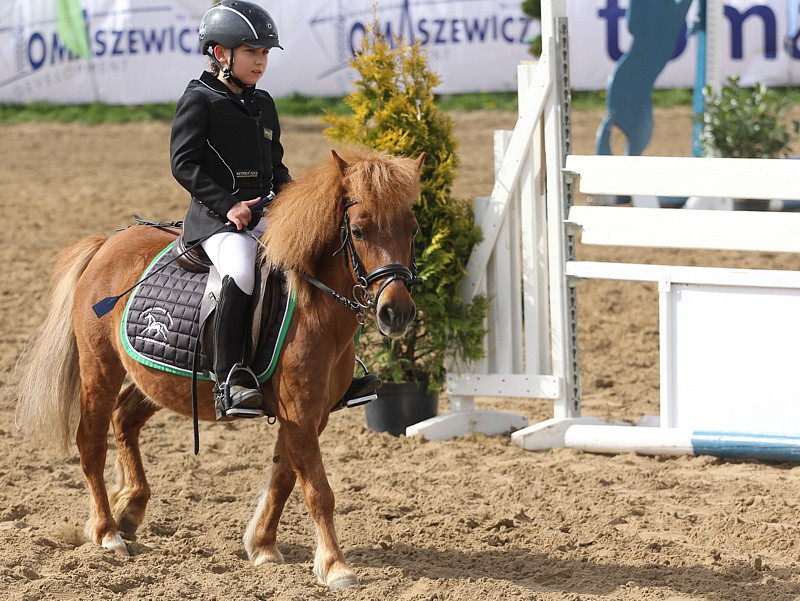 Festyn rodzinny i skoki przez przeszkody w Przęsocinie