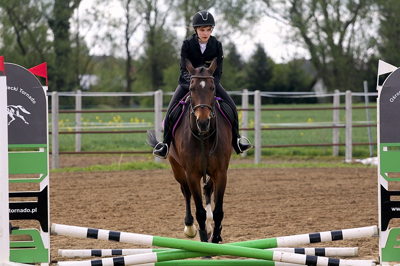 Festyn rodzinny i skoki przez przeszkody w Przęsocinie