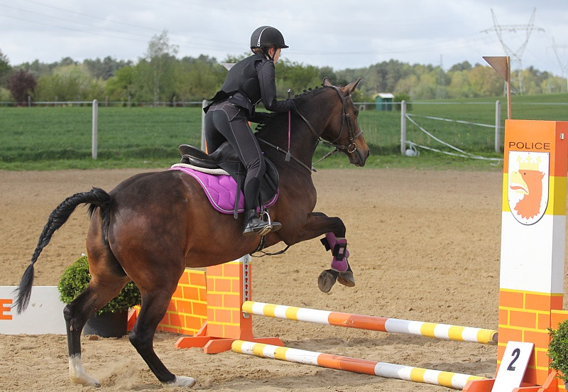 Festyn rodzinny i skoki przez przeszkody w Przęsocinie