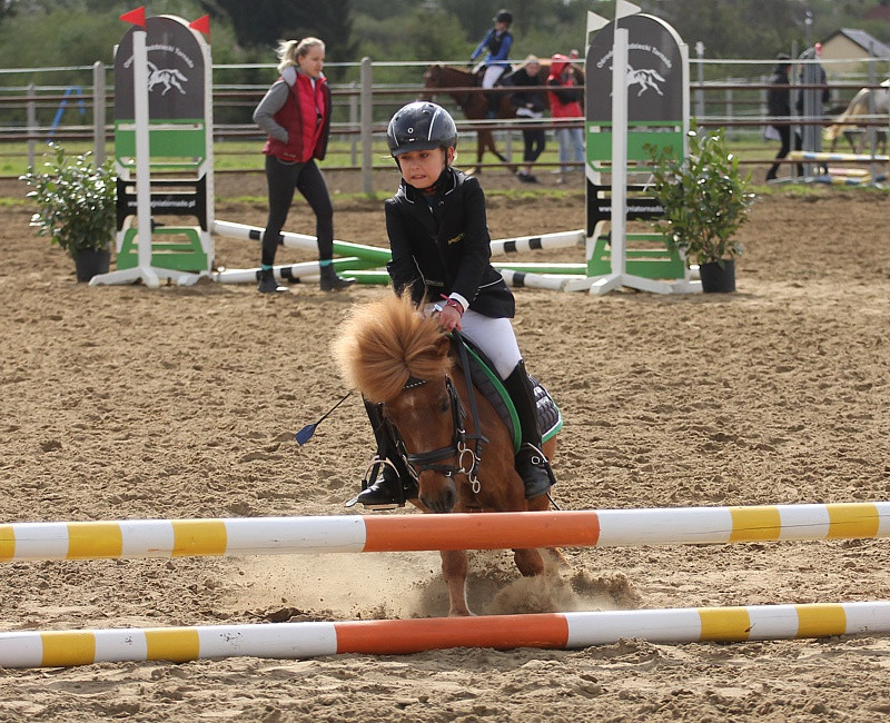 Festyn rodzinny i skoki przez przeszkody w Przęsocinie