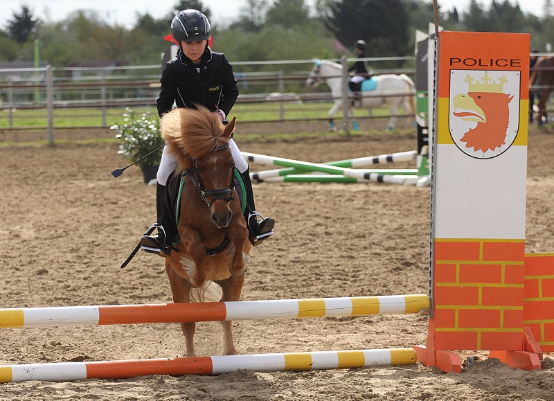 Festyn rodzinny i skoki przez przeszkody w Przęsocinie