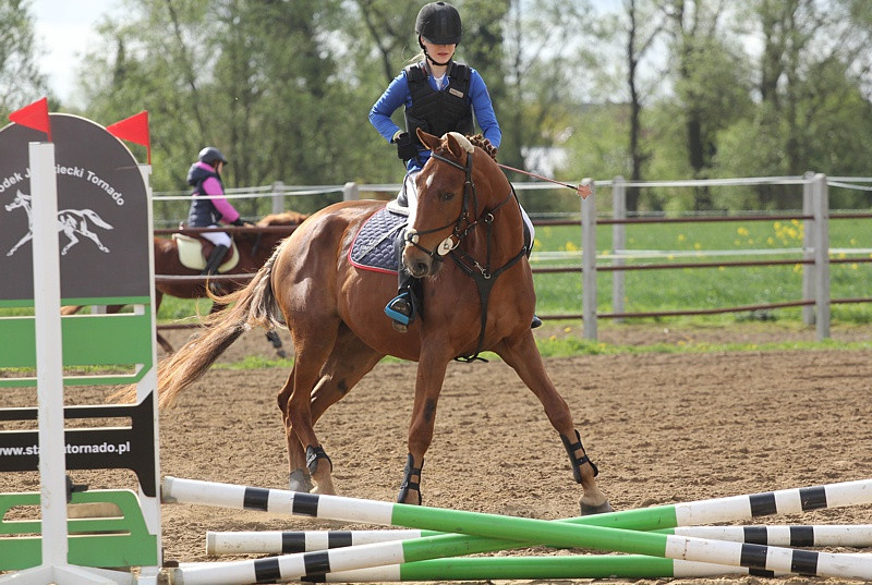 Festyn rodzinny i skoki przez przeszkody w Przęsocinie