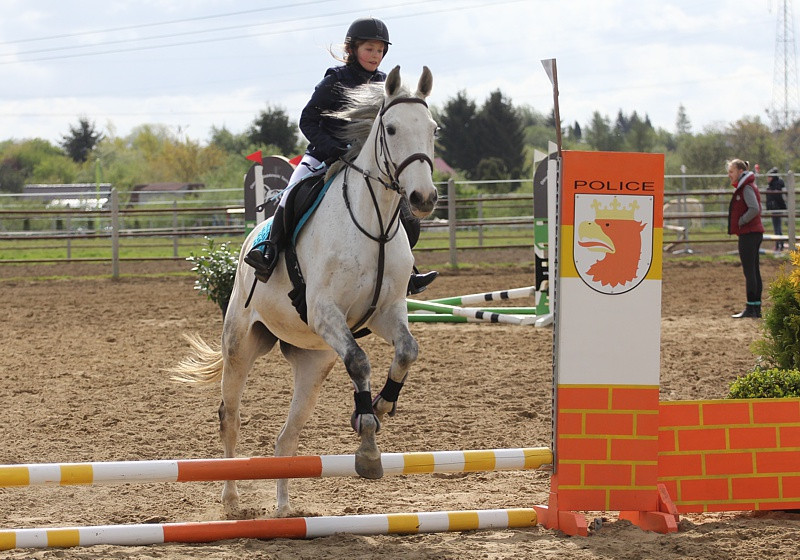 Festyn rodzinny i skoki przez przeszkody w Przęsocinie