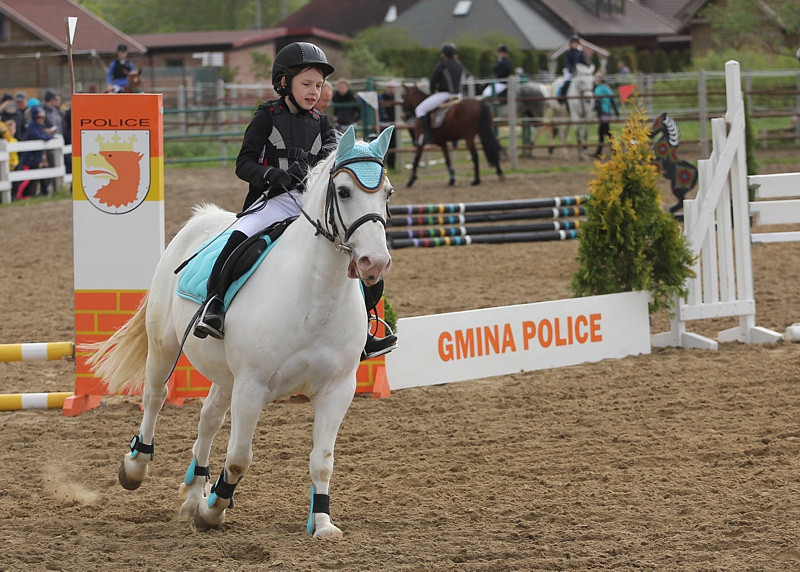 Festyn rodzinny i skoki przez przeszkody w Przęsocinie