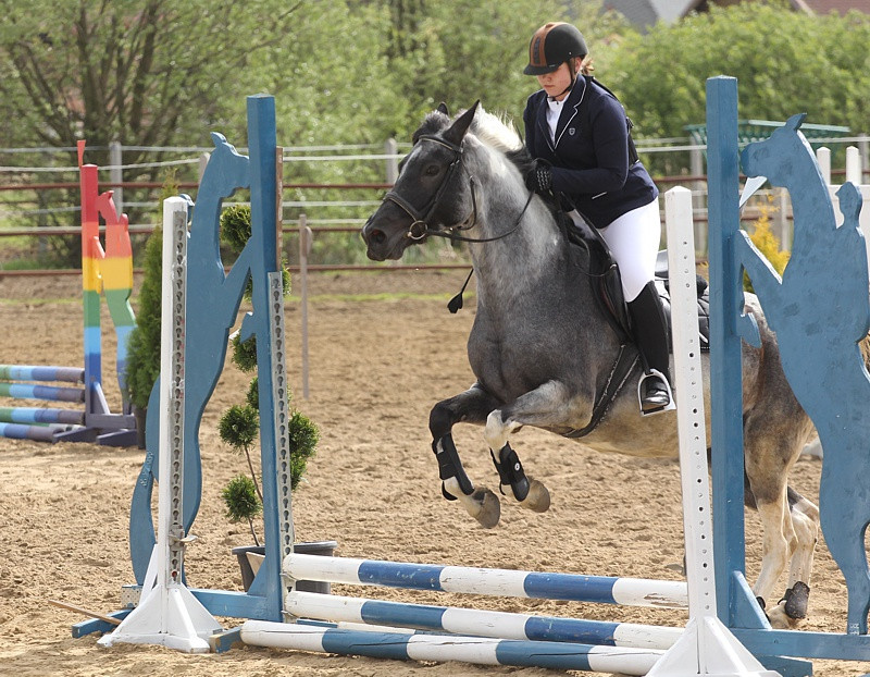 Festyn rodzinny i skoki przez przeszkody w Przęsocinie