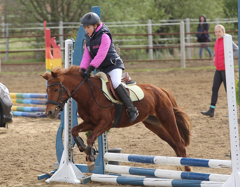 Festyn rodzinny i skoki przez przeszkody w Przęsocinie