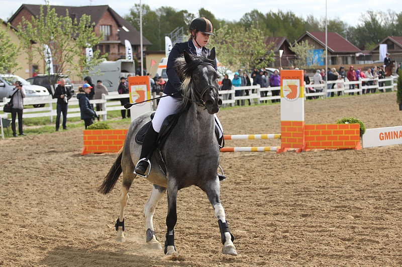 Festyn rodzinny i skoki przez przeszkody w Przęsocinie