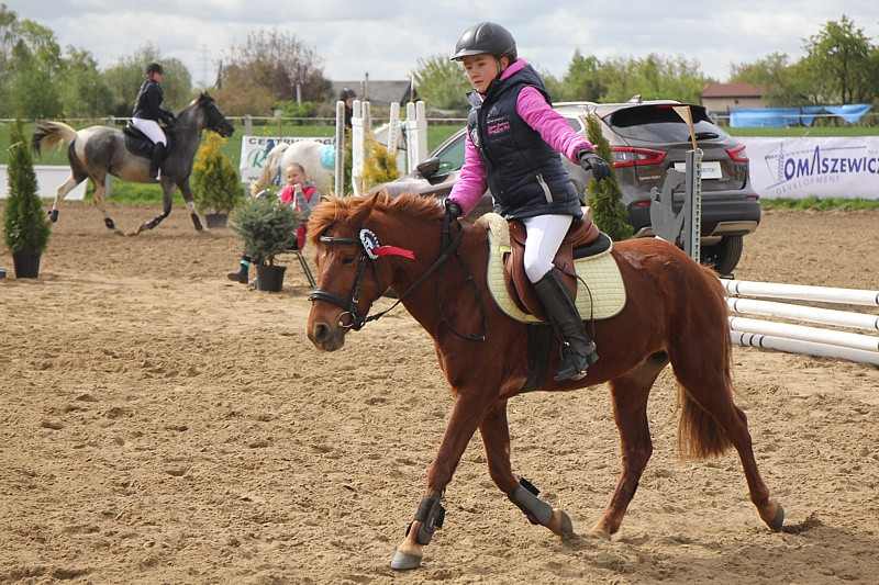 Festyn rodzinny i skoki przez przeszkody w Przęsocinie