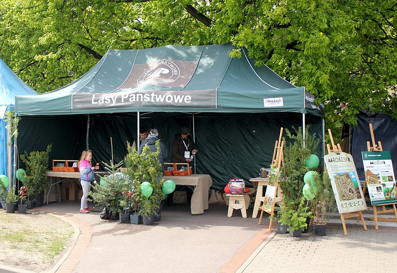 Piknik nad Odrą na Wałach Chrobrego