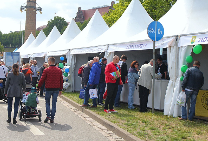 Piknik nad Odrą na Wałach Chrobrego
