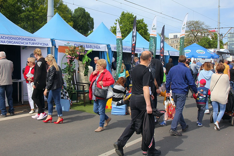 Piknik nad Odrą na Wałach Chrobrego