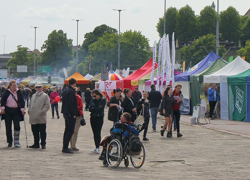 Piknik nad Odrą na Wałach Chrobrego