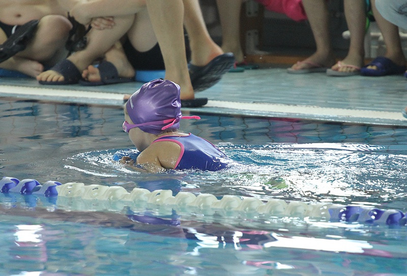 VI Mistrzostwa Polic w Pływaniu