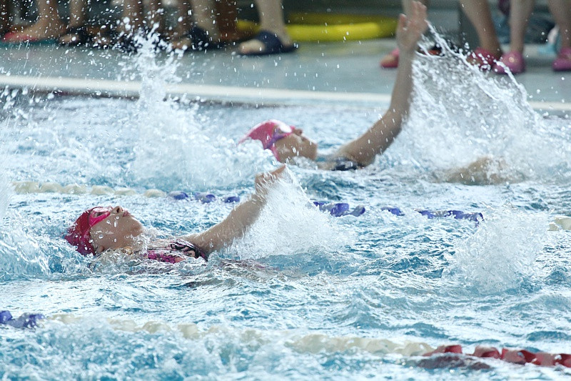 VI Mistrzostwa Polic w Pływaniu