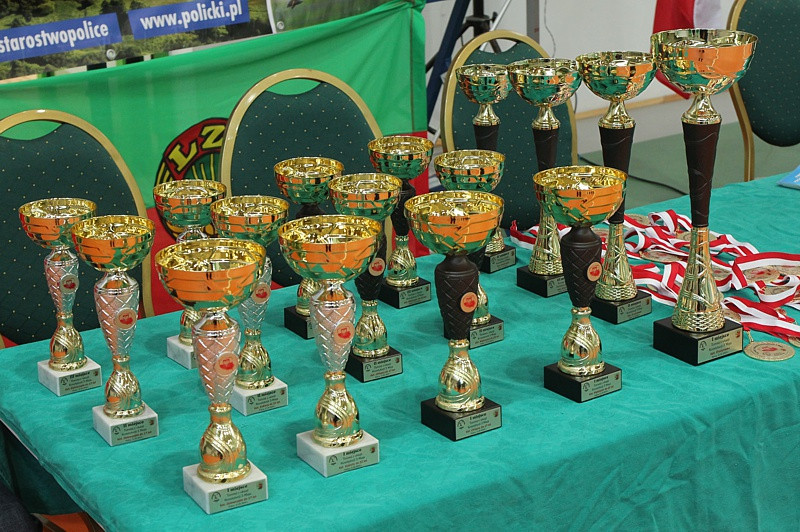 AKS PROMIEŃ wygrywa turniej z okazji Konstytucji 3 maja