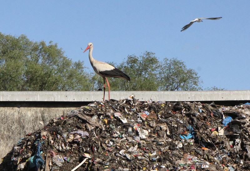Spotkanie Polsko-Niemieckiego Kręgu Gospodarczego w Policach