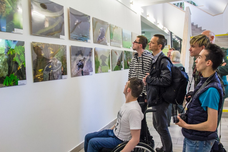 Świat zwierzęcy Puszczy Wkrzańskiej – wystawa w Zalesiu