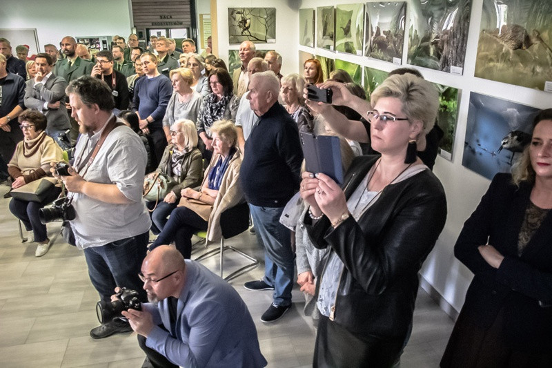 Świat zwierzęcy Puszczy Wkrzańskiej – wystawa w Zalesiu