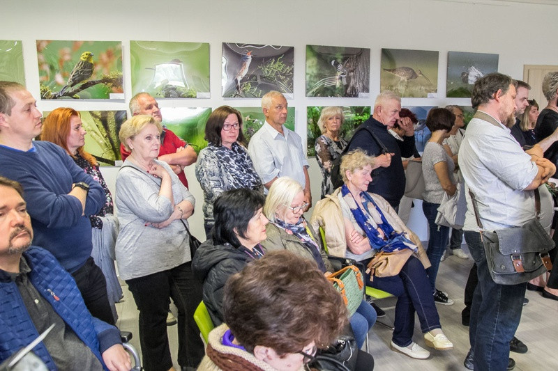 Świat zwierzęcy Puszczy Wkrzańskiej – wystawa w Zalesiu