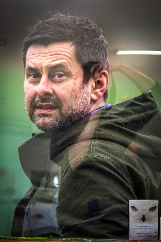 Świat zwierzęcy Puszczy Wkrzańskiej – wystawa w Zalesiu