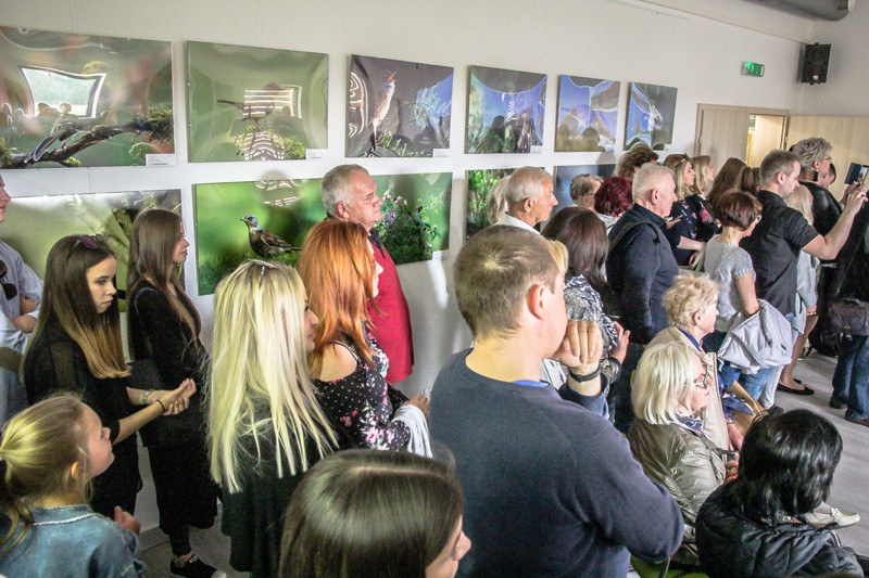 Świat zwierzęcy Puszczy Wkrzańskiej – wystawa w Zalesiu