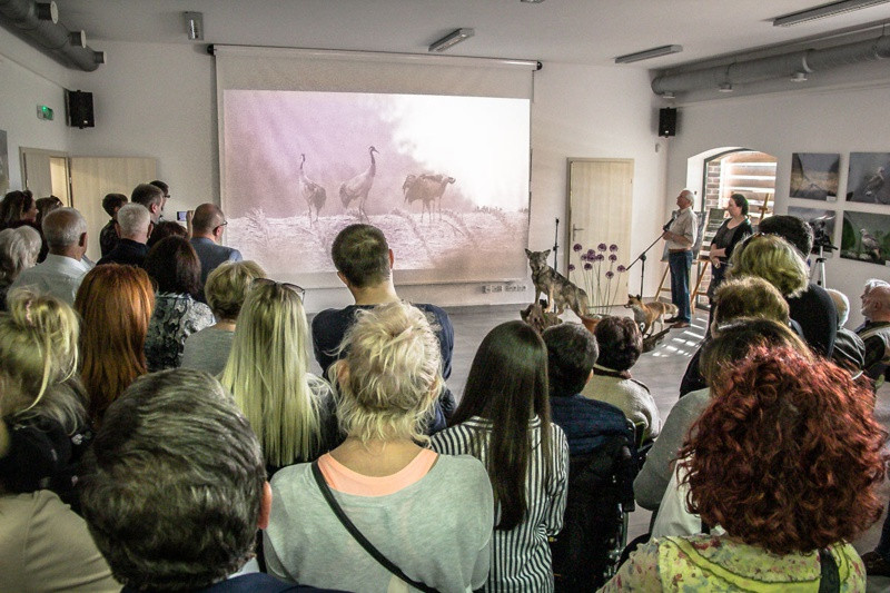 Świat zwierzęcy Puszczy Wkrzańskiej – wystawa w Zalesiu