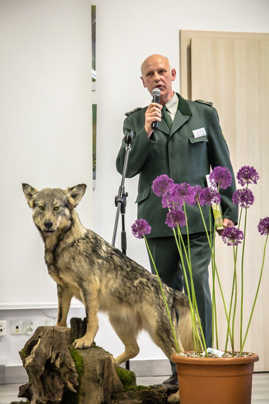 Świat zwierzęcy Puszczy Wkrzańskiej – wystawa w Zalesiu