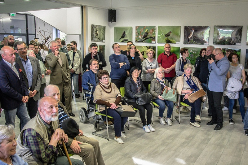 Świat zwierzęcy Puszczy Wkrzańskiej – wystawa w Zalesiu